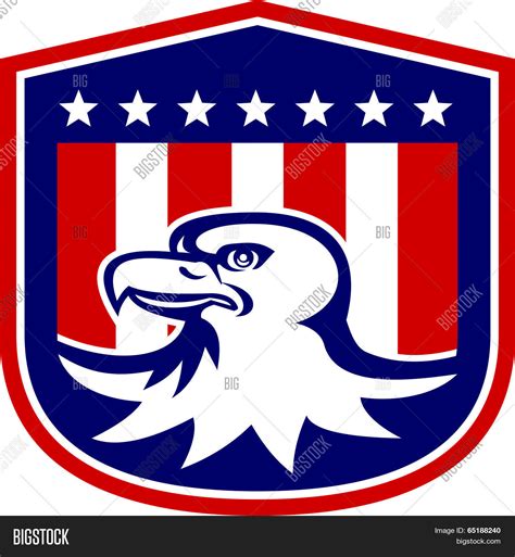 American Bald Eagle Vector & Photo (Free Trial) | Bigstock