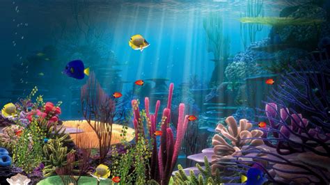 Free aquarium screensaver nfsFishInDeepWater - YouTube