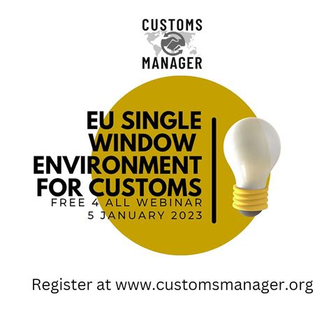 How can companies profit from the EU Single Window Environment for Customs?