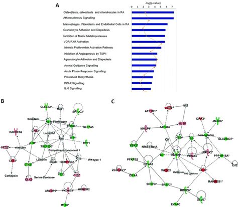 Pathway analysis of Affymetrix gene data. A, Core functional analysis... | Download Scientific ...