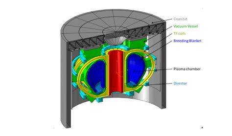 Tokamak Fusion Reactors