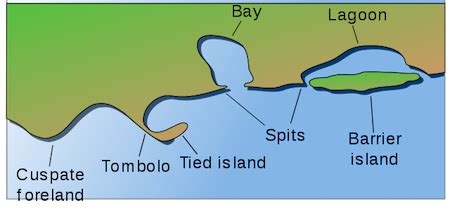 Barrier Island Formation