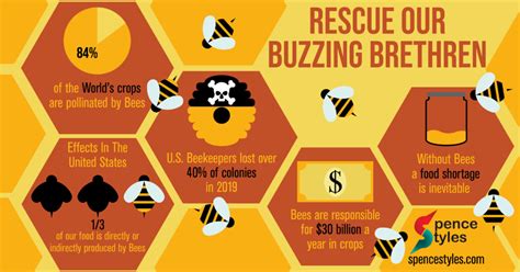 Save The Bees Infographic - Satisfy Your Style