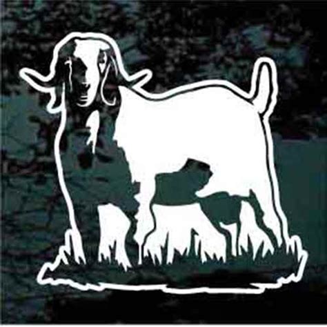 Boer Goat Standing In Grass Decals & Car Window Stickers | Decal Junky