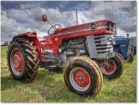 MF 165 | A restored Massey Ferguson 165 tractor circa 1966. … | Flickr