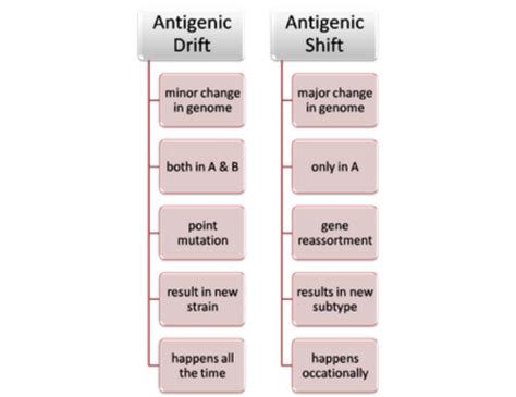 Antigenic Drift and Shift - INFLUENZA