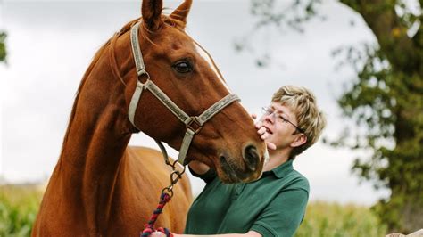 Ponazuril for Horses | Horse Medication | PetMD