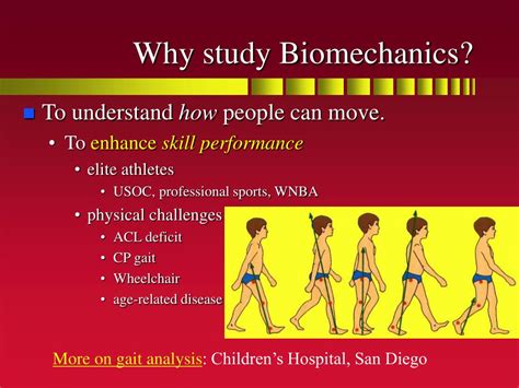 PPT - Biomechanics of Human Movement PowerPoint Presentation, free ...