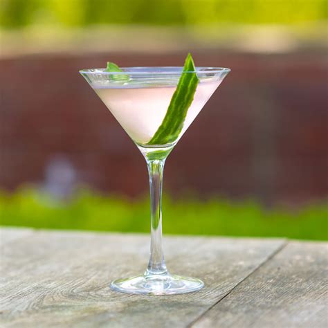 Pink Gin Martini Cocktail Recipe | Think Gin Club