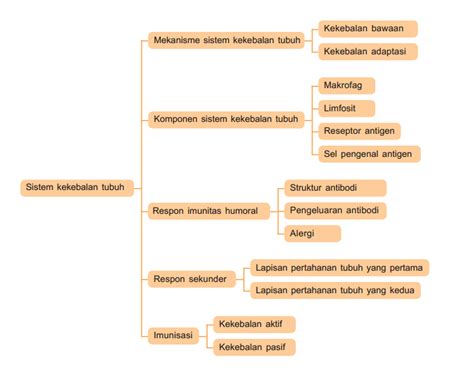 Peta Konsep Sistem Kekebalan Tubuh - Garda Pengetahuan