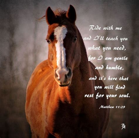 Quotes On Horse Riding