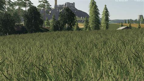 GRASS TEXTURE V1.0 - FS19 mod - FS19.net