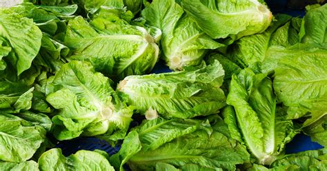 Romaine lettuce alert: CDC issue E-coli warning, source still unknown