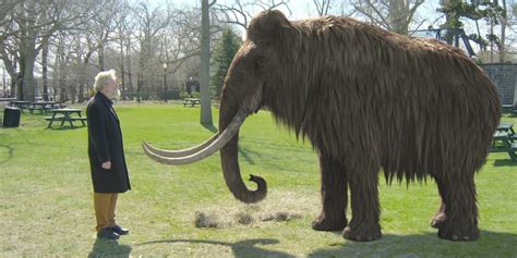 Effort To Clone Woolly Mammoth Takes Big Step Forward | HuffPost