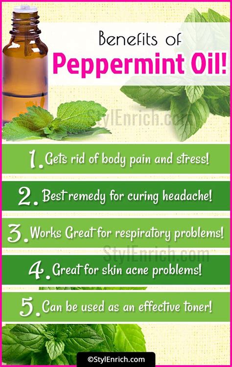 #PeppermintOilUses – 15 Reasons You Should Have Peppermint Oil At Your Home! | Peppermint oil ...