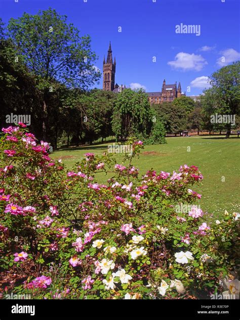 Kelvingrove park glasgow hi-res stock photography and images - Alamy