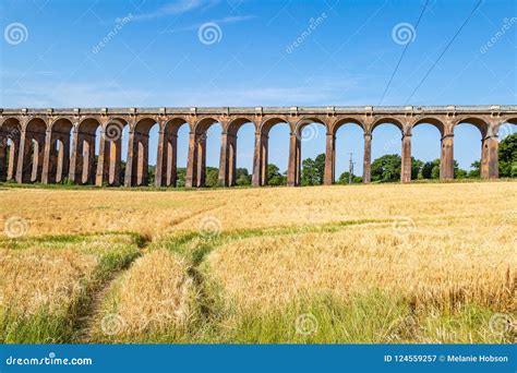 Balcombe Viaduct stock image. Image of landscape, bricks - 124559257