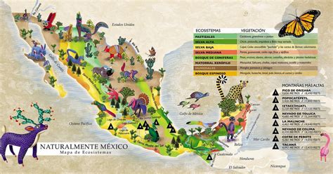 Biodiversidad de México : Ecosistemas de México.