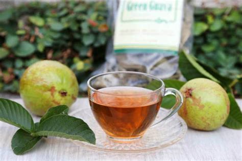 9 Surprising Guava Leaf Tea Benefits and Uses | Best Herbal Health