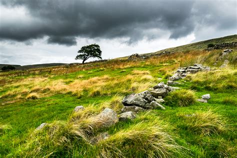 The Wild Moors of Yorkshire :: Behance