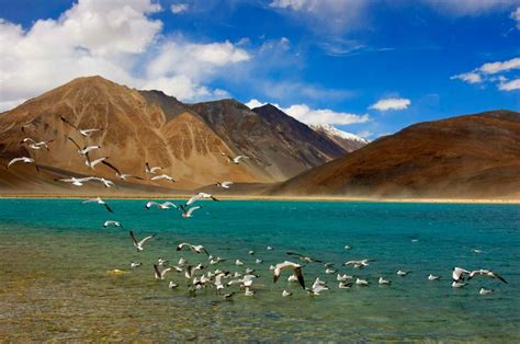 5 Places You Should Definitely Visit On Your Leh- Ladakh Trip - Via.com Blog