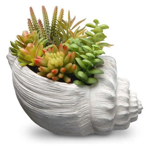 9.8" Succulent Plants - Ceramic Pot - Walmart.com