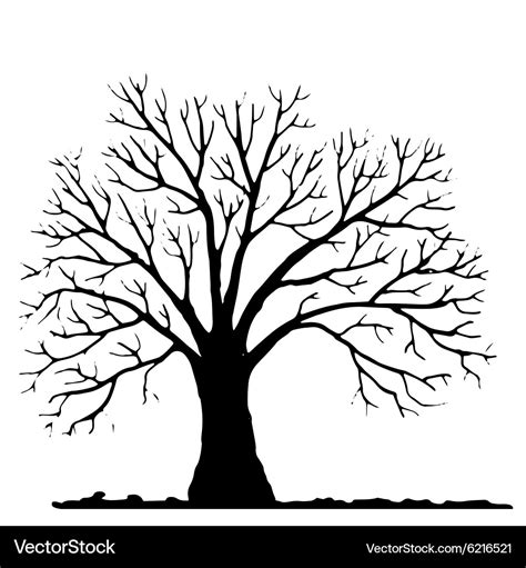 Tree without leaves silhouette Royalty Free Vector Image