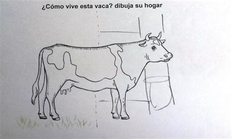 Cow half indoors, half outdoors. | Download Scientific Diagram