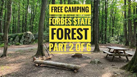 Free Camping at Forbes State Forest in PA, Part 2 of 6 - YouTube