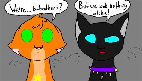 FireStar and Scourge are bros by Amurlou on DeviantArt