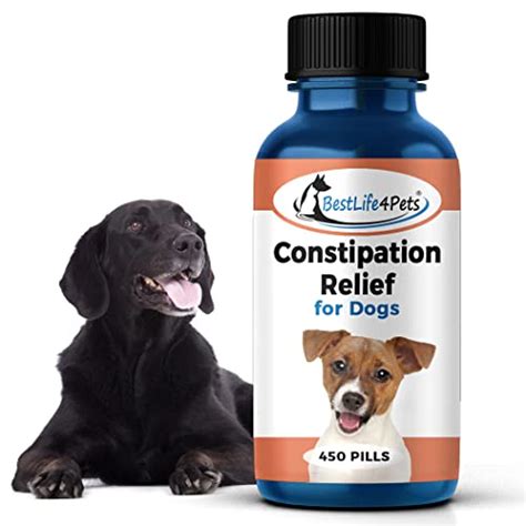 The 10 Best Dog Laxative – Editor Recommended – PDHRE