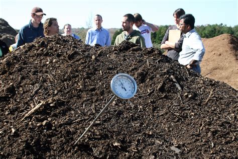 Adding mulch to vegetable plants increases yields, saves water | CAES ...