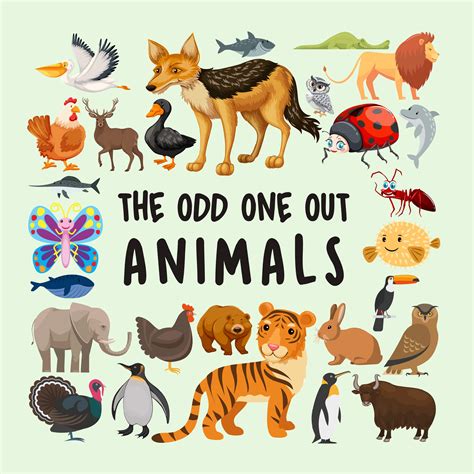 The odd one out - Animals: Fun and easy learning games for little kids ...