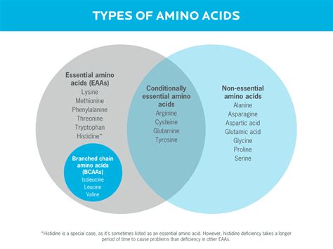 The Benefits of BCAAs: Are They Right for You? | Precision Nutrition