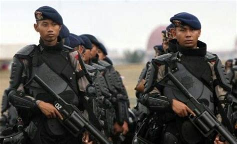 Brimob, Indonesian SWAT Swat, Indonesian, Guns, Army, Person, Weapons ...