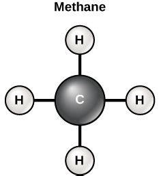 5 Which of the Following Accurately Describes Carbon Atoms - Hatfieldtrust