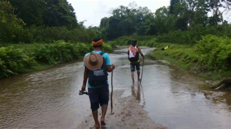 Eco Tourism's 44 event: Patiya-Bandarban trekking - YouTube