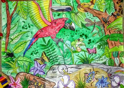 Rainforest Drawing by EFBytes on DeviantArt