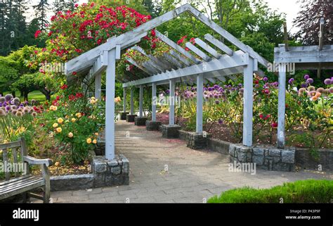 Beautiful flower gardens in Stanley Park, Vancouver, BC, Canada ...