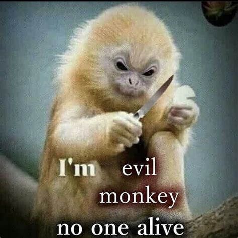 Evil monkey : r/ComedyNecrophilia