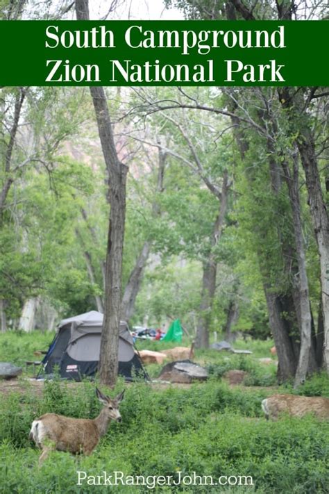 Zion National Park Camping Guide | Park Ranger John