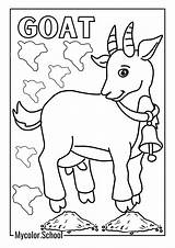 7 Goat Coloring Pages  Coloring Free Printables sketch template