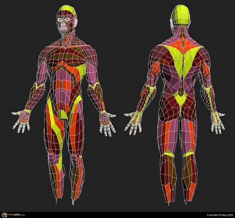 A sample of topological layout for the human body. | 3d モデル, 3d キャラクター, トポロジ