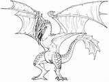 Wyvern Coloring Pages sketch template
