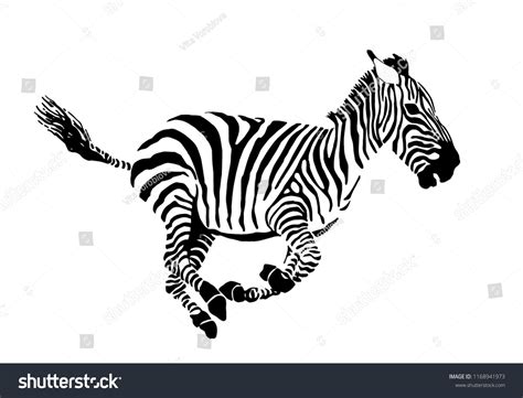 1,196 Zebra Running Isolated Images, Stock Photos & Vectors | Shutterstock