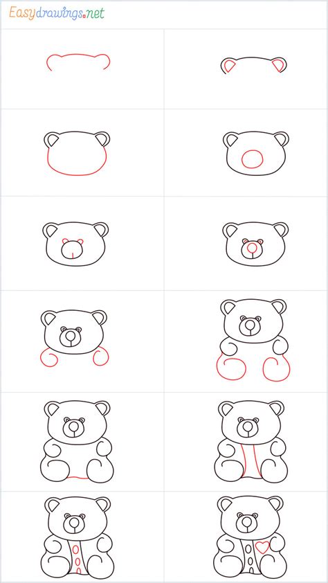 How To Draw A Teddy Bear Step by Step - [7 Easy Phase] & [Video]