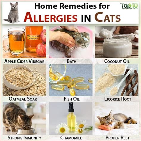 Home Remedies For Cat Allergic To Fleas - GESTUJG