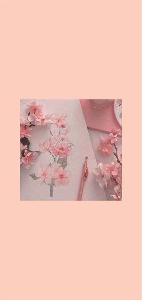 [0+] Aesthetic Cherry Blossom Backgrounds | Wallpapers.com