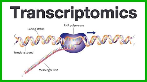 Transcriptomics: A short introduction to the core concepts of microarrays and RNA sequencing ...