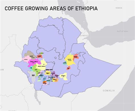 Ethiopia's Coffee Growing Regions | Ally Open Blog by Ally Coffee